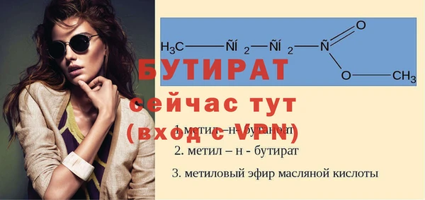 индика Протвино