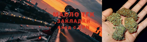 индика Протвино