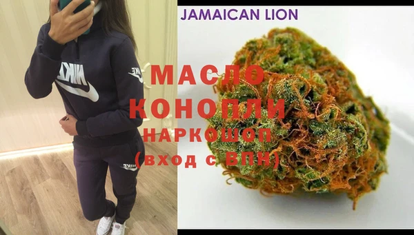 индика Протвино