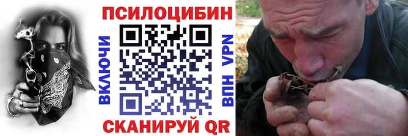 Псилоцибиновые грибы мицелий  Купить где  Сысерть 